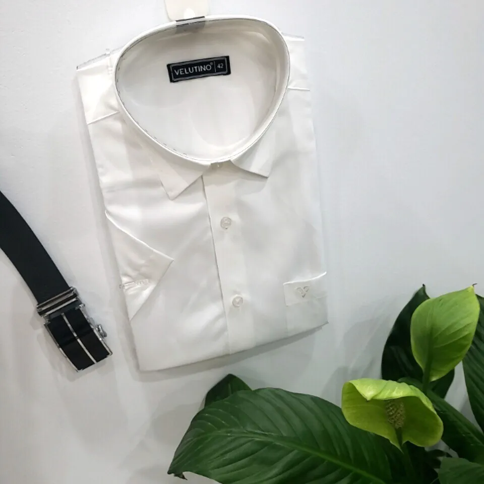 Ảnh Áo sơ mi nam Velutino ngắn tay cao cấp công sở vải mát mịn không nhăn SMC211 3