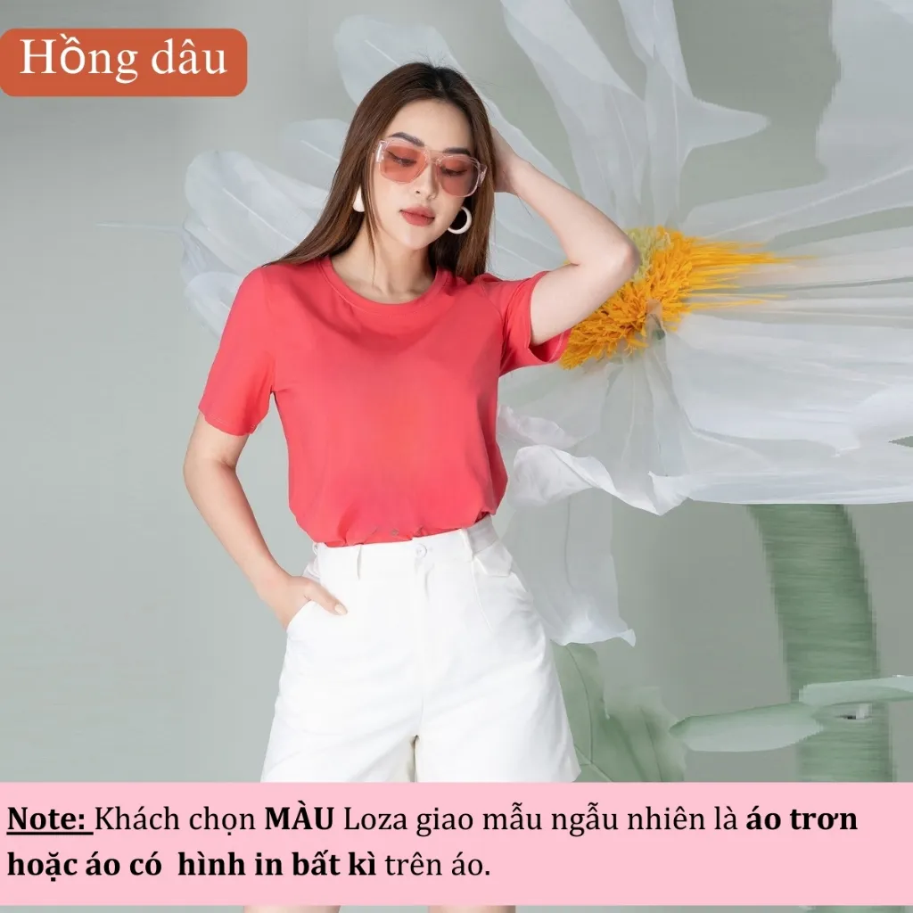 Ảnh Áo thun nữ Lẻ Size Giao Mẫu Lộn Xộn -Hình ngẫu nhiên - Áo phông Loza PT002 4