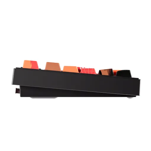 Ảnh Bàn phím AKKO 5098B Wasteland Survival (RGB / Hotswap / Akko V3 Piano Pro) 4