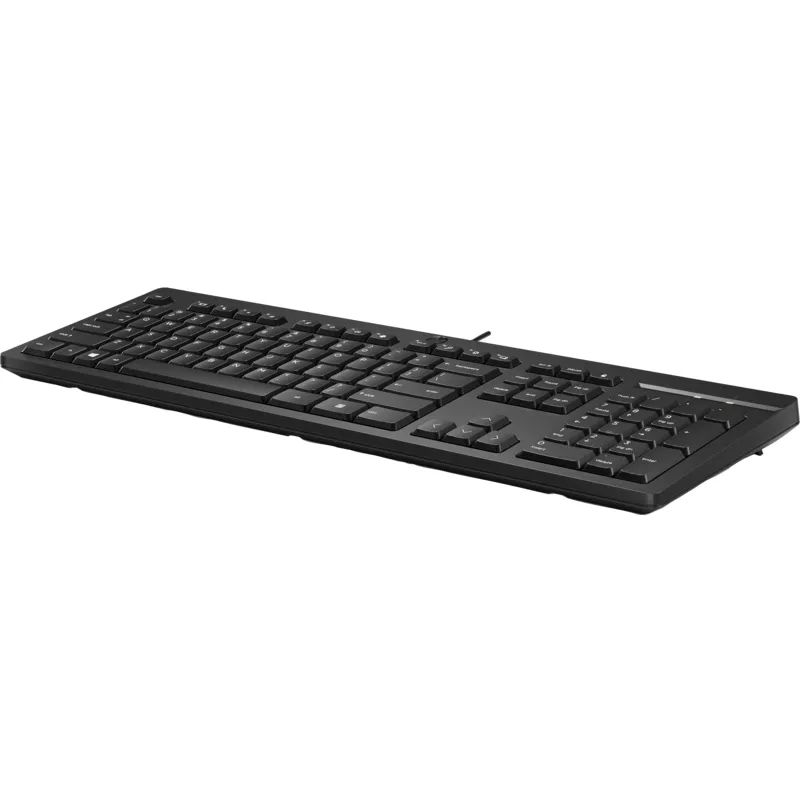 Ảnh Bàn phím có dây HP 125 - 266C9AA 2