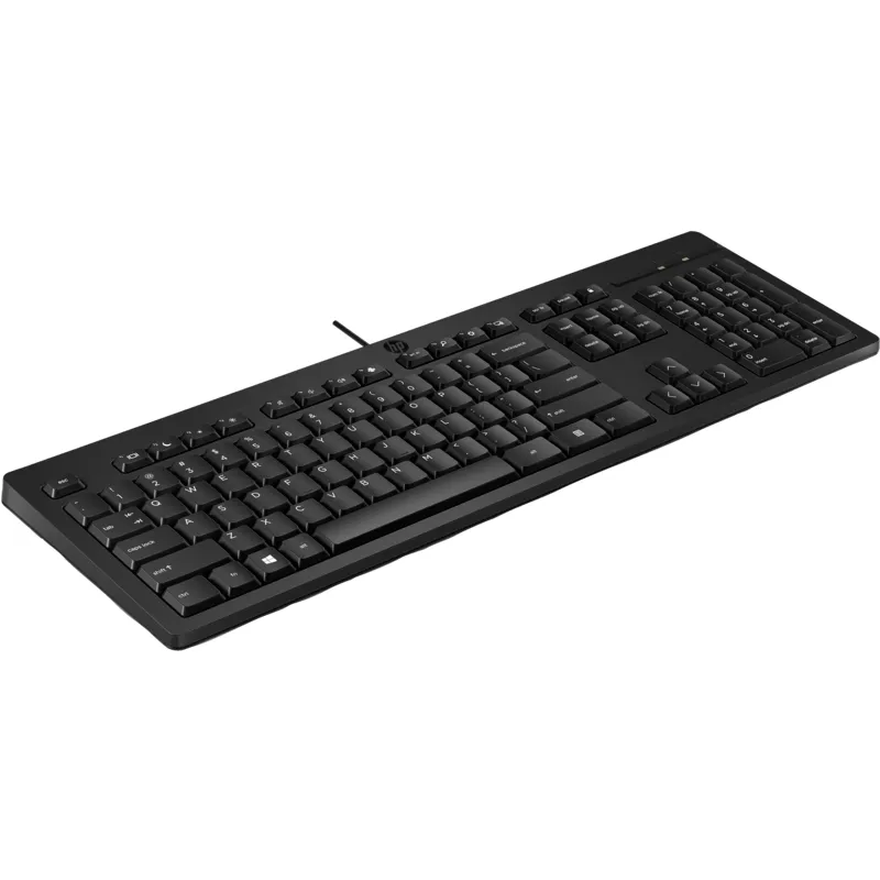 Ảnh Bàn phím có dây HP 125 - 266C9AA 3