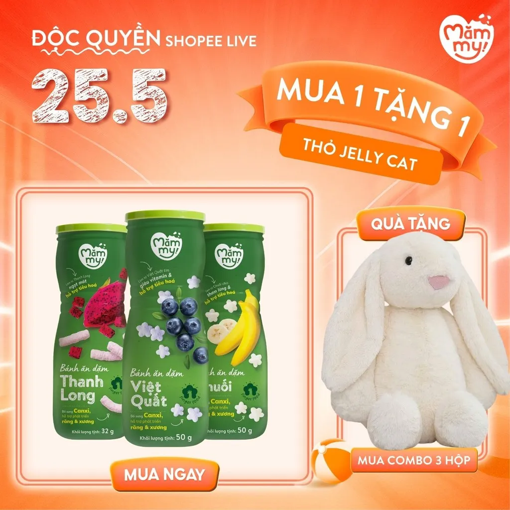Review Bánh Ăn Dặm Mămmy Vị Trái Cây & Rau Củ: Hỗ Trợ Tiêu Hóa Cho Bé 6M+