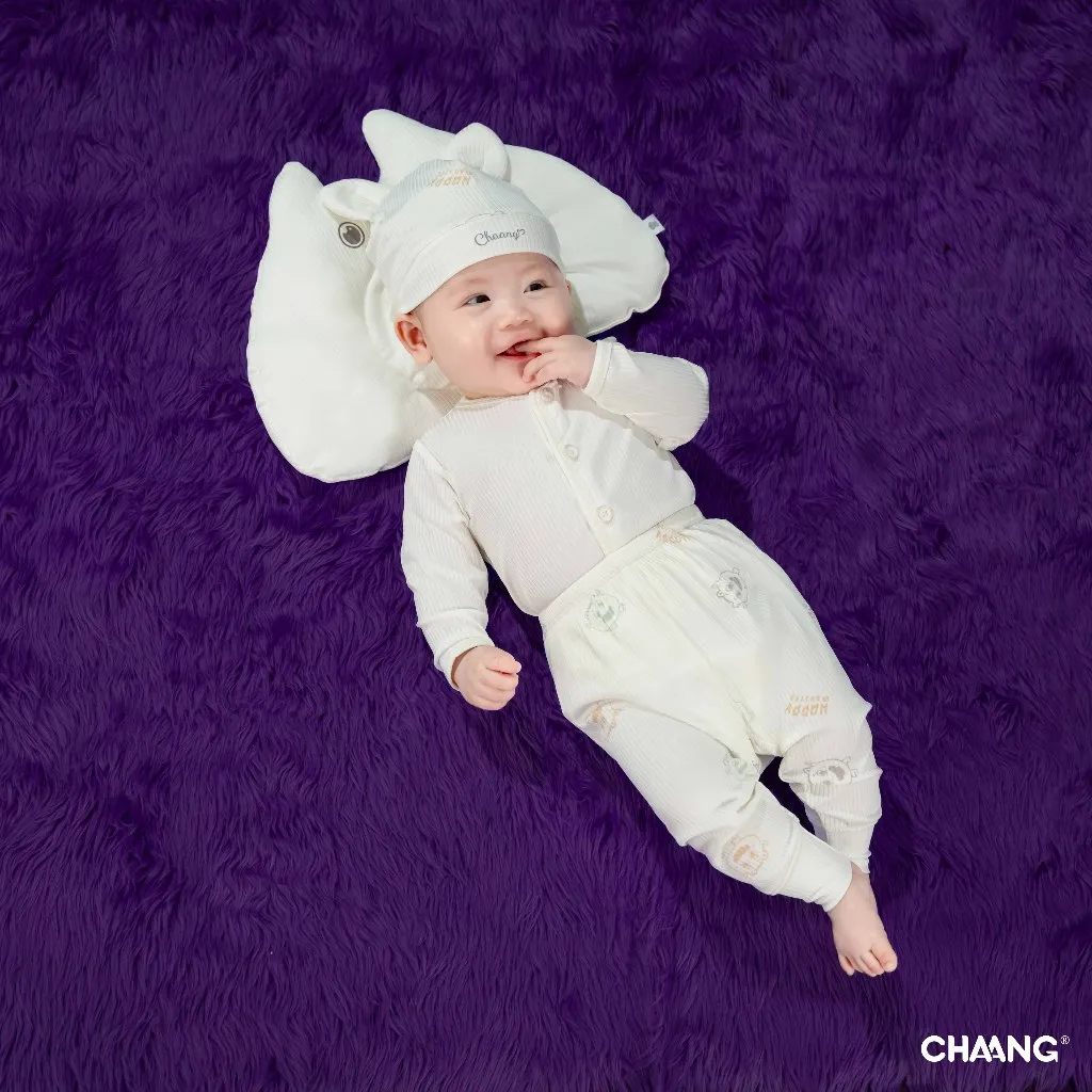 Ảnh Bộ quần áo dài tay cúc giữa Monster cho bé sơ sinh chất liệu tăm lạnh 2