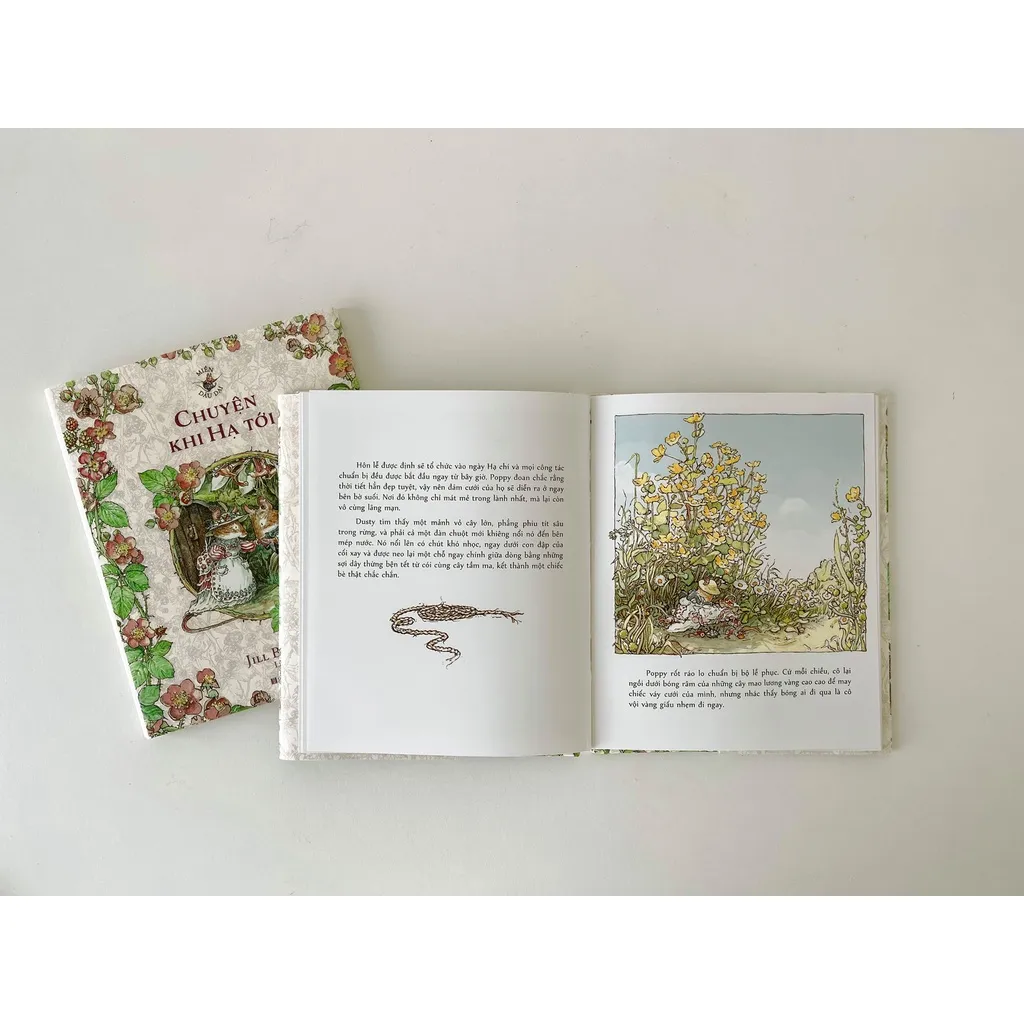 Ảnh Bộ sách Miền Dâu Dại - Bộ 4 cuốn - Crabit Kidbooks 3