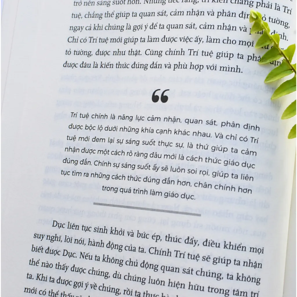 Ảnh Bộ Sách - Tầm Nhìn Khai Phóng (3 cuốn - bìa cứng) - Tác giả: Trần Thế Công 4