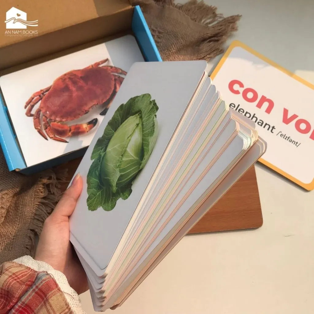 Ảnh Bộ thẻ học thông minh Flashcard cho bé chuẩn Glenn Doman giáo giục sớm Lalala baby song ngữ Anh Việt 4