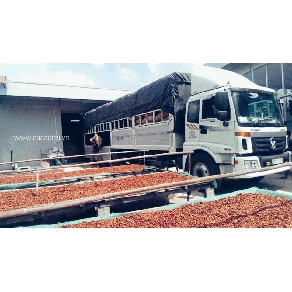 Ảnh Bột ca cao nguyên chất không đường CACAOMI Premium pha chế thức uống socola trà sữa đậm vị cacao 2