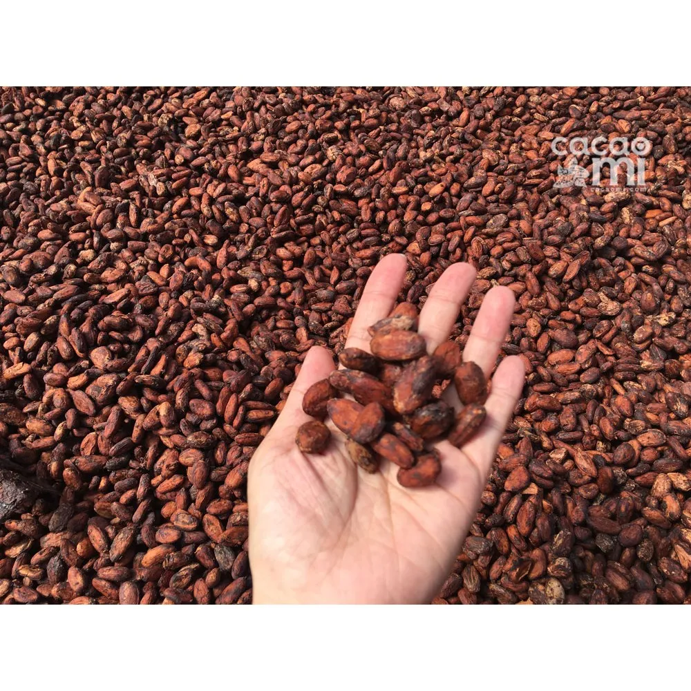 Ảnh Bột ca cao nguyên chất không đường CACAOMI Premium pha chế thức uống socola trà sữa đậm vị cacao 4