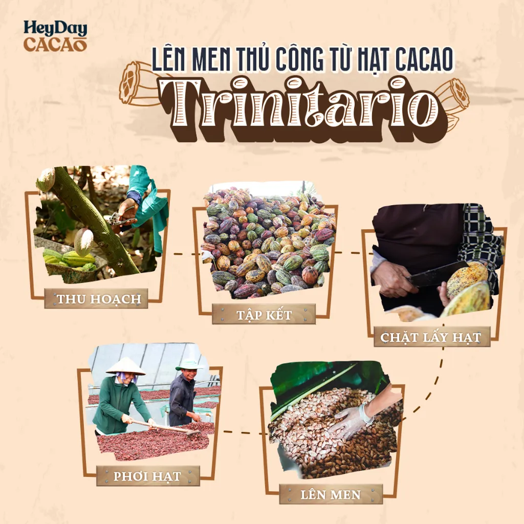 Ảnh Bột Cacao Nguyên Chất 100% dòng Natural - Thuần tự nhiên, Không đường, Không Kiềm Hóa - Túi 50g 2