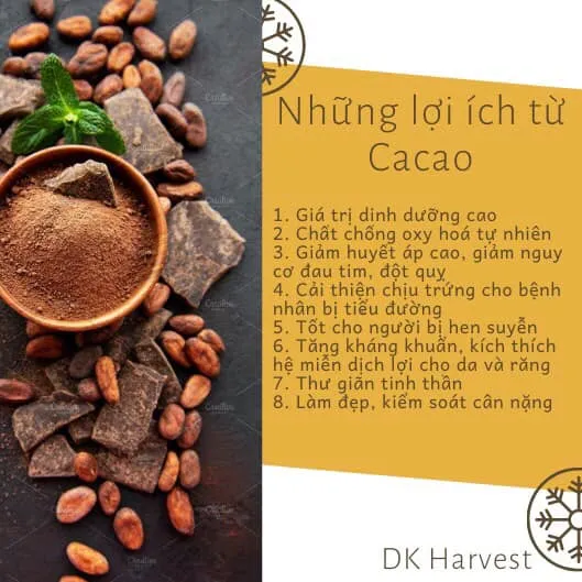 Ảnh Bột Cacao Nguyên Chất DK Harvest - Chuẩn UTZ, 11-13% Bơ Cacao | Đậm Vị, Giàu Chất Chống Oxy Hóa, Cải Thiện Tâm Trạng 4