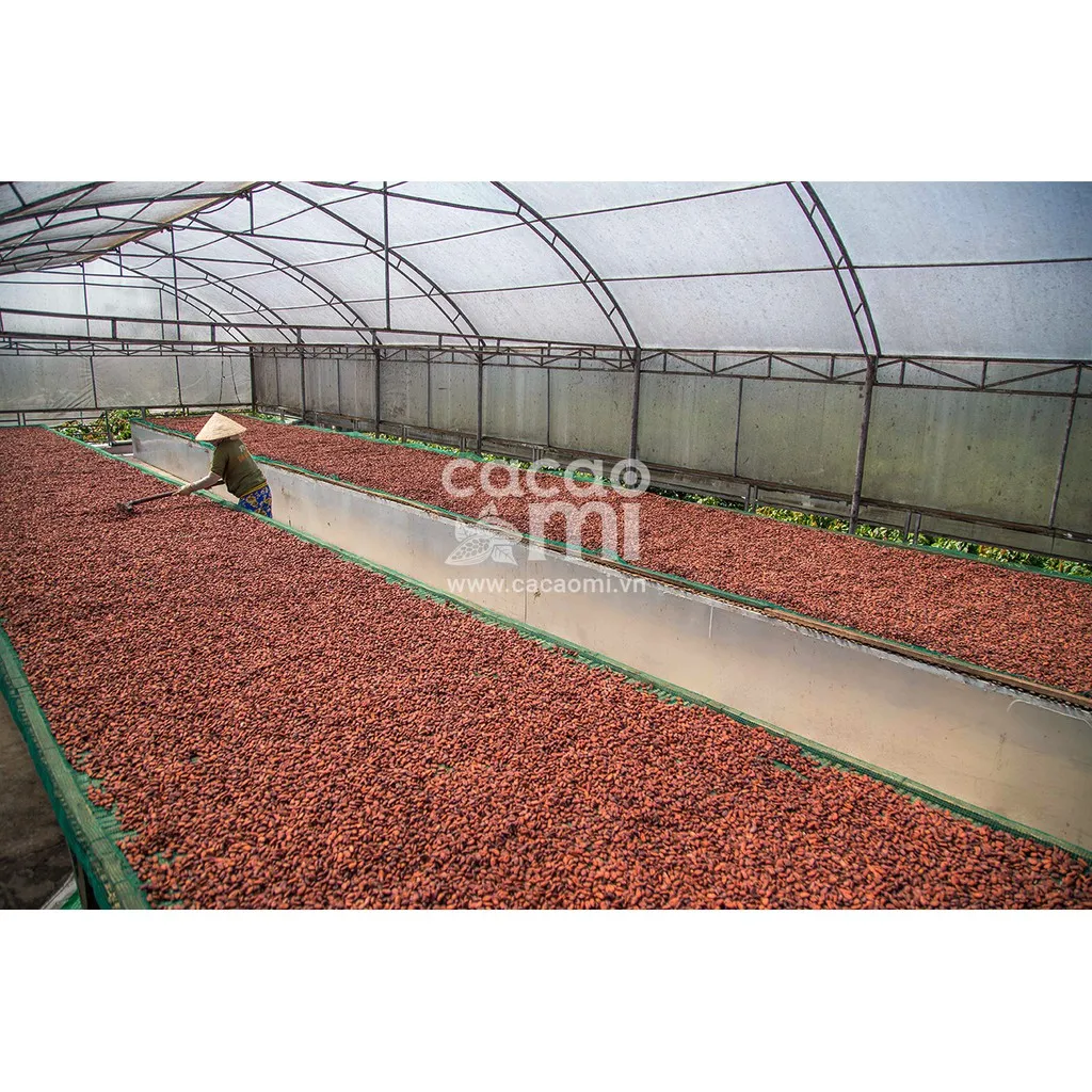 Ảnh Bột cacao nguyên chất không đường CACAOMI Premium gu đậm ca cao socola chuẩn xuất khẩu 80g/250g/500g 4