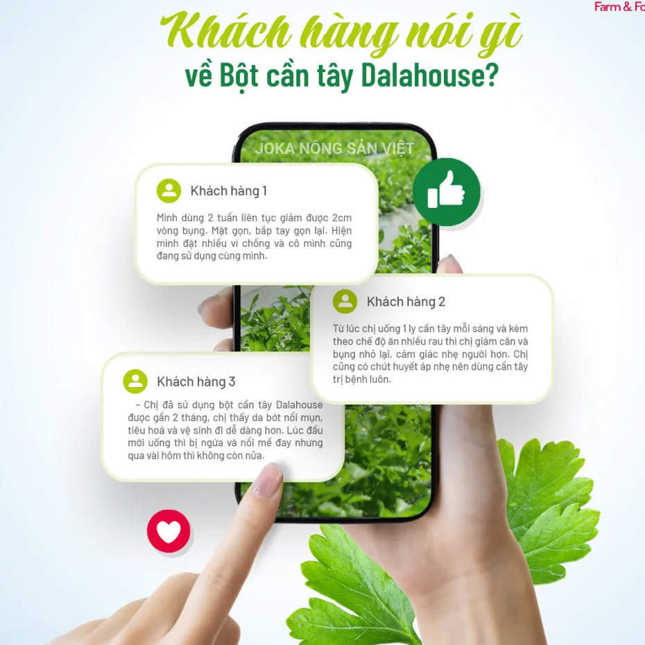 Ảnh Bột cần tây detox nguyên chất sấy lạnh Dalahouse bột rau củ hữu cơ đạt chuẩn Châu Âu 2