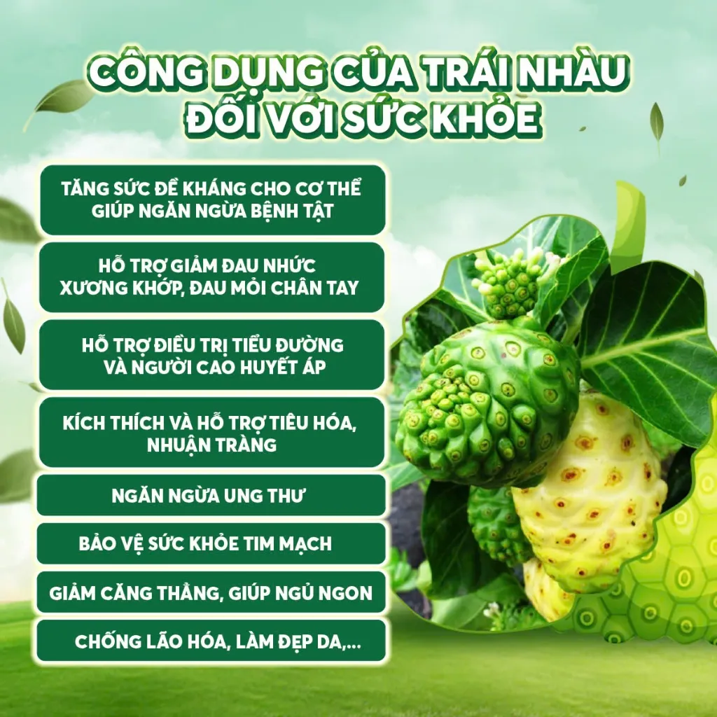 Ảnh Bột Nhàu Nguyên Chất Hương Thanh, NoNi Powder 100%, Làm Từ Quả Nhàu Chín, Giúp Bổ Xương Khớp, Tăng Đề Kháng, Hộp 500g 3