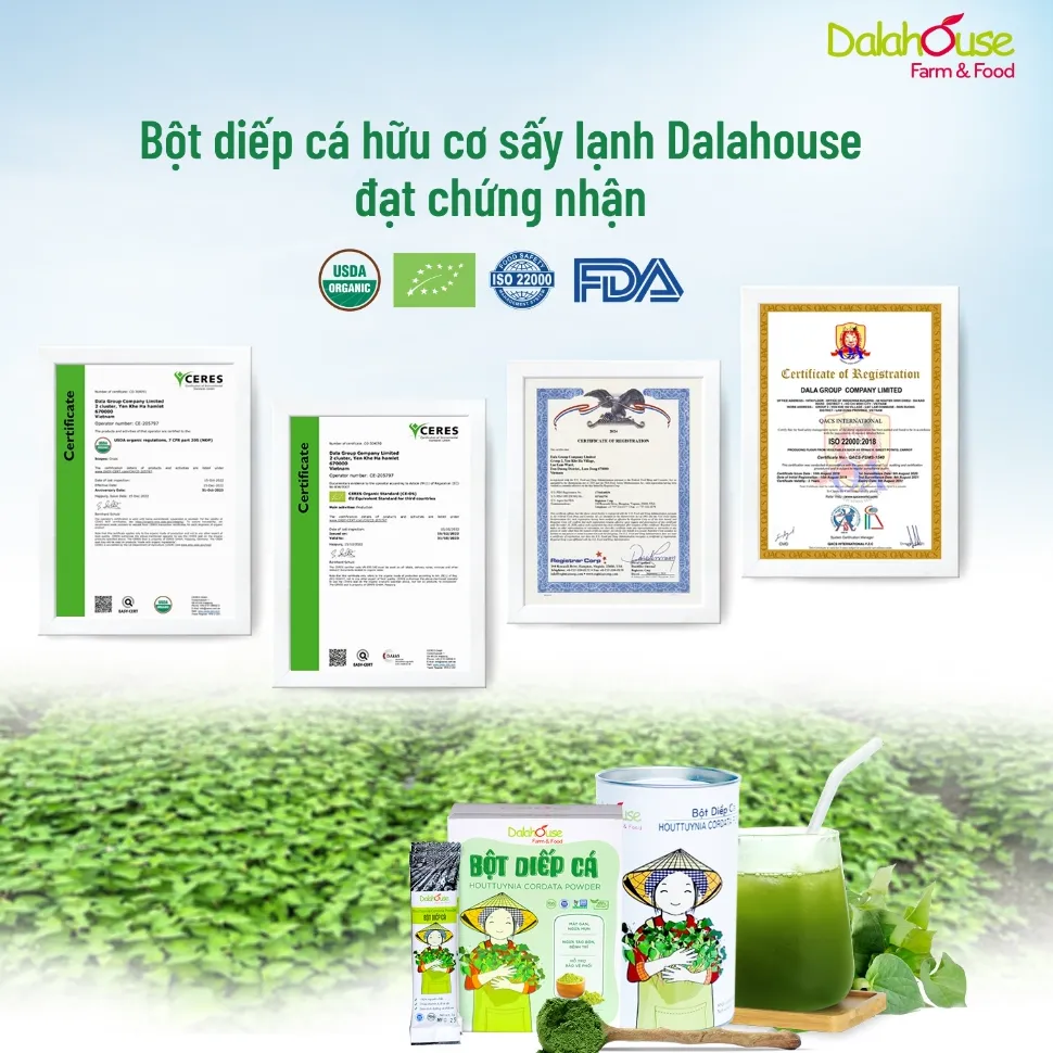 Ảnh Bột rau diếp cá hữu cơ nguyên chất Dalahouse 60gr công nghệ sấy lạnh đạt tiêu chuẩn Châu Âu 1