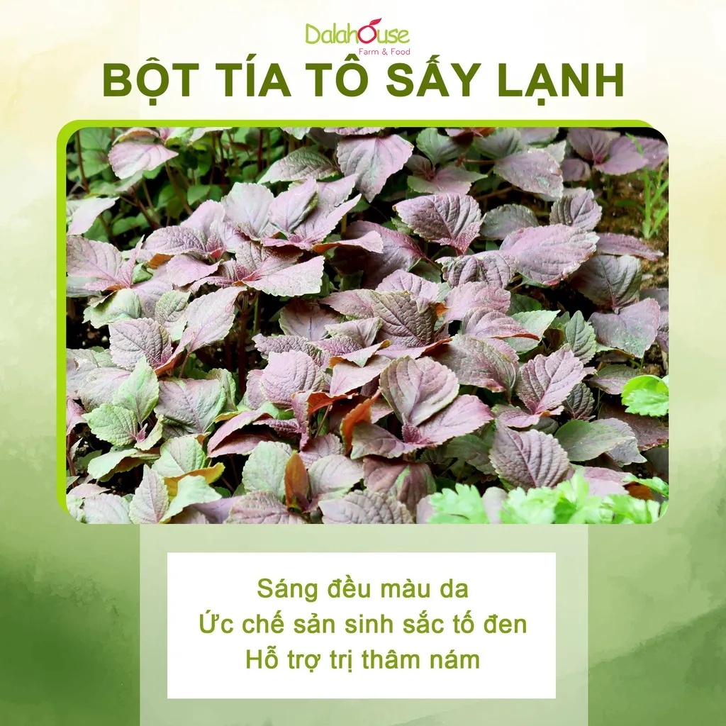 Ảnh Bột tía tô nguyên chất Dalahouse công nghệ sấy lạnh tiêu chuẩn Châu Âu hộp 120 gr 3