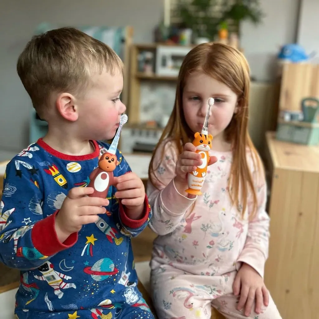 Ảnh Brush-Baby Bàn chải điện sóng âm nhiều loại cho bé - WildOnes/KidzSonic/GoKidz/BabySonic 3
