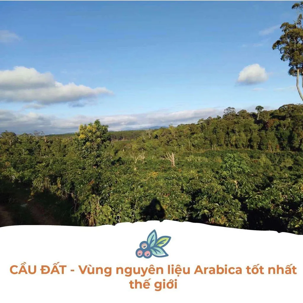 Ảnh Cà Phê Arabica Cầu Đất Dalat Farm - Túi 250Gr (Dạng hạt) 1