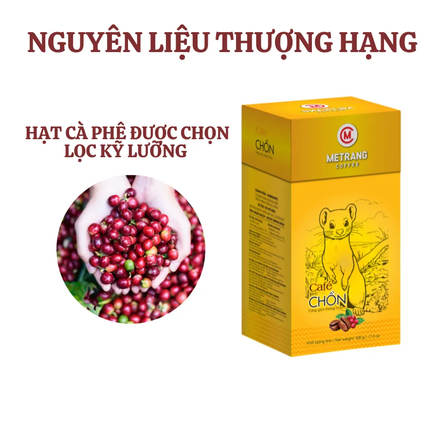 Ảnh Cà phê Chồn, cà phê rang xay pha phin Cao cấp Mê Trang - Hộp 500g Hút Chân không 1