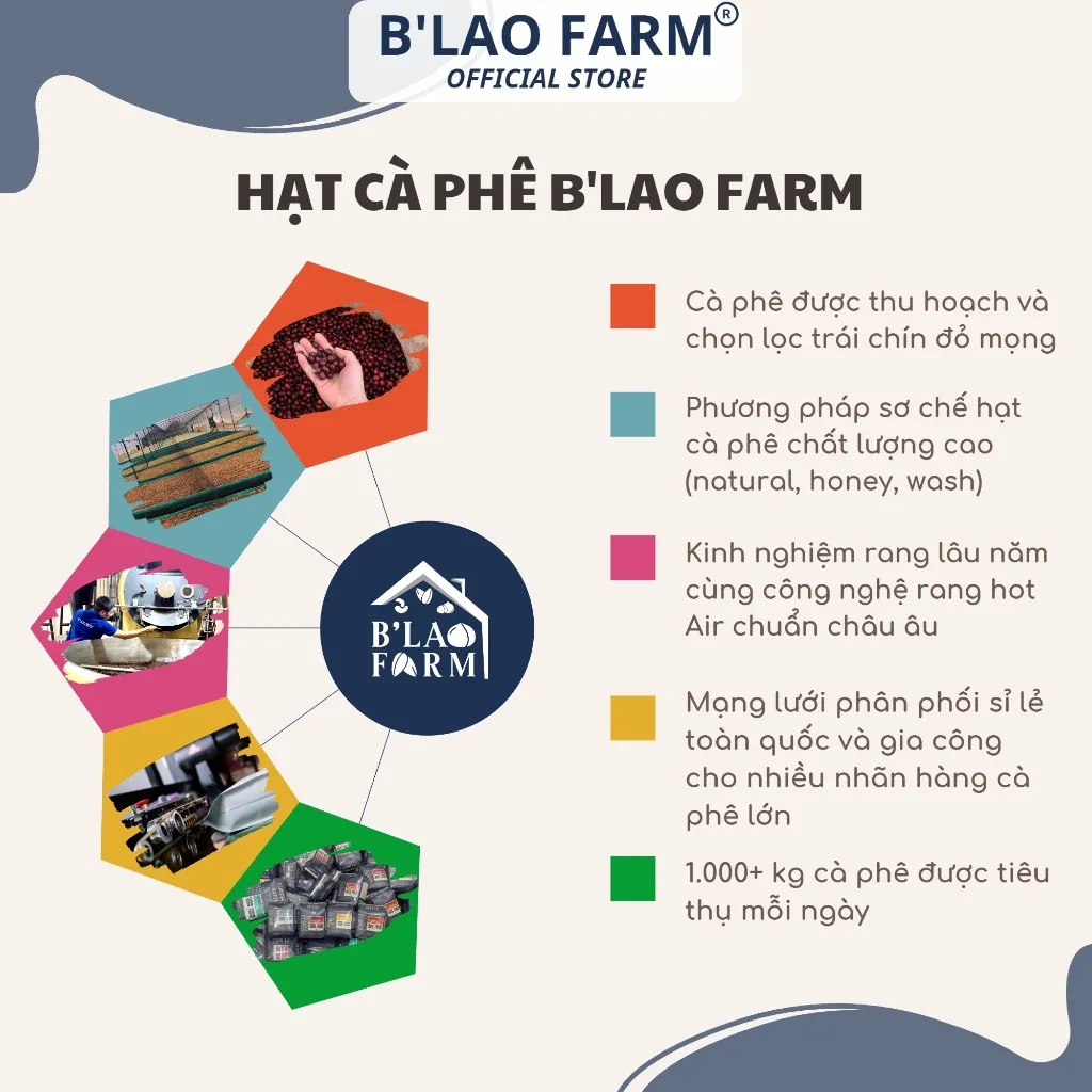 Ảnh Cà phê ROBUSTA HONEY ĐẶC BIỆT B'Lao Farm rang mộc nguyên chất đắng đậm hậu vị ngọt thơm trái cây túi giấy 250g/500g. 1