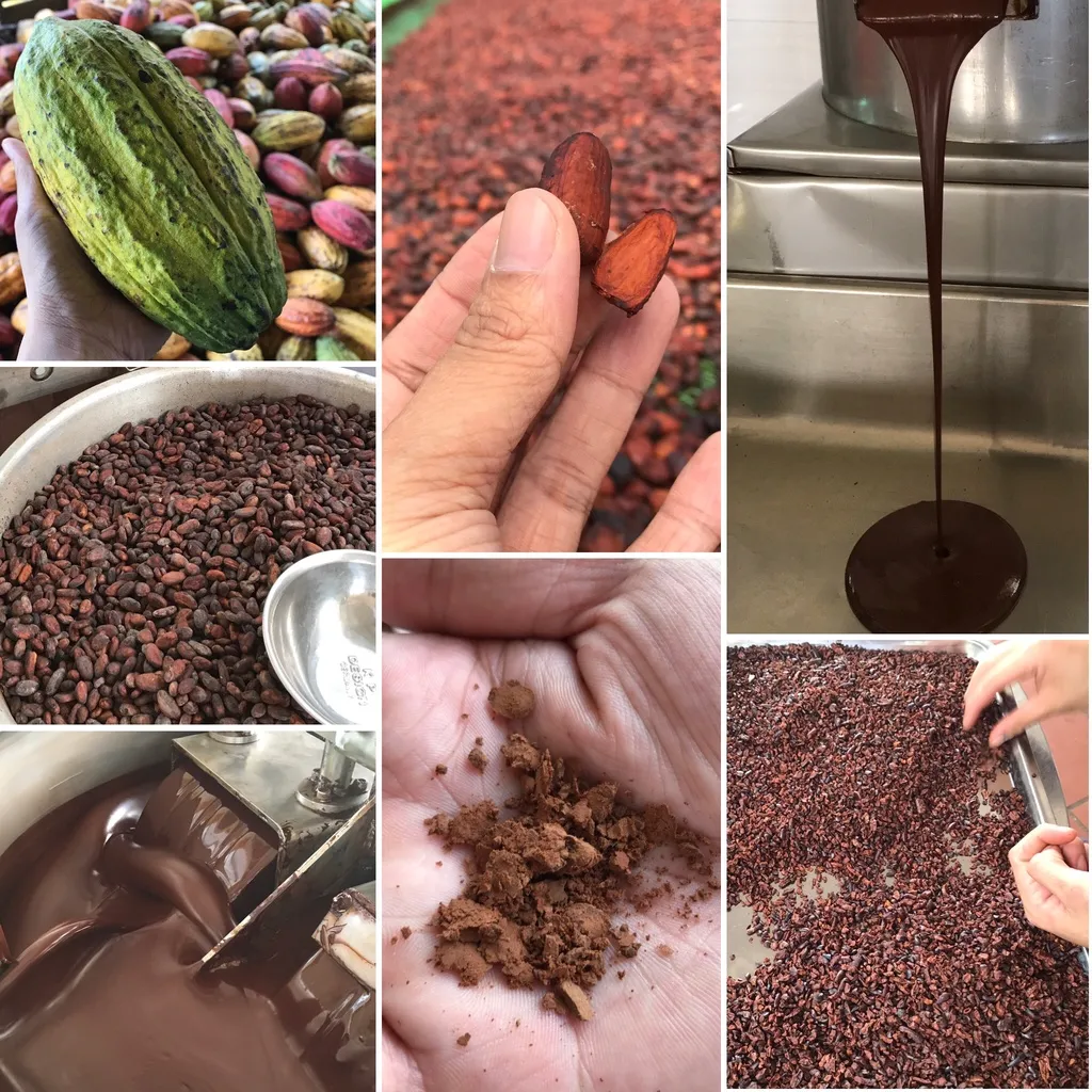 Ảnh Cacao mass CacaoMi nguyên liệu sô cô la handmade từ hạt ca cao 100% nguyên chất không đường 250-500g 4