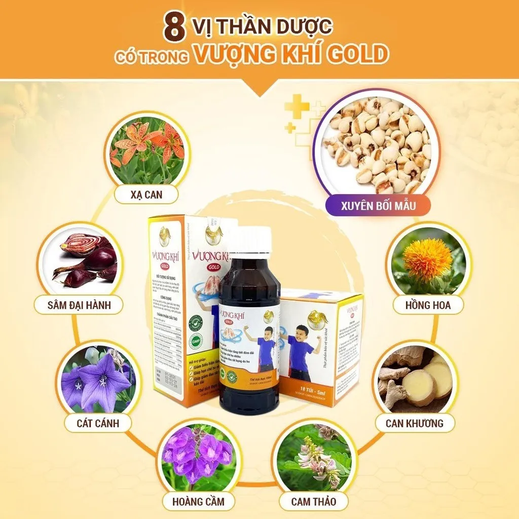 Ảnh Cao Lỏng Vượng Khí Gold Hỗ Trợ Giảm Ho Tiêu Đờm Tăng Đề Kháng Chính Hãng Japa Kids 3