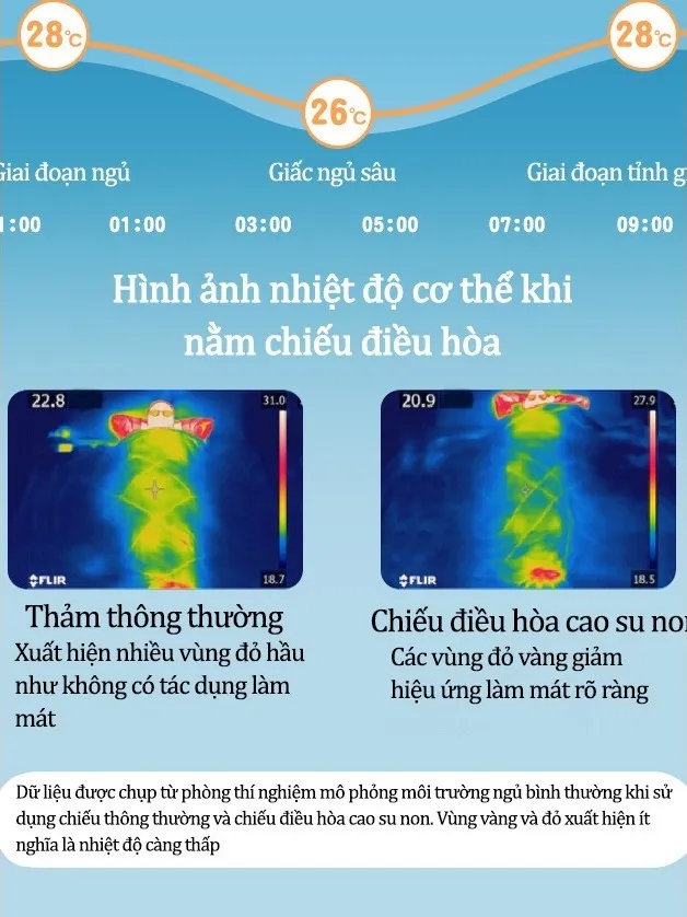 Ảnh Chiếu Điều Hòa Cao Su Non IQKAO Cho Bé Kèm Gối Mát Lưng, Thoáng Khí, Không Cần Bật Điều Hòa – Size 60x120cm 1