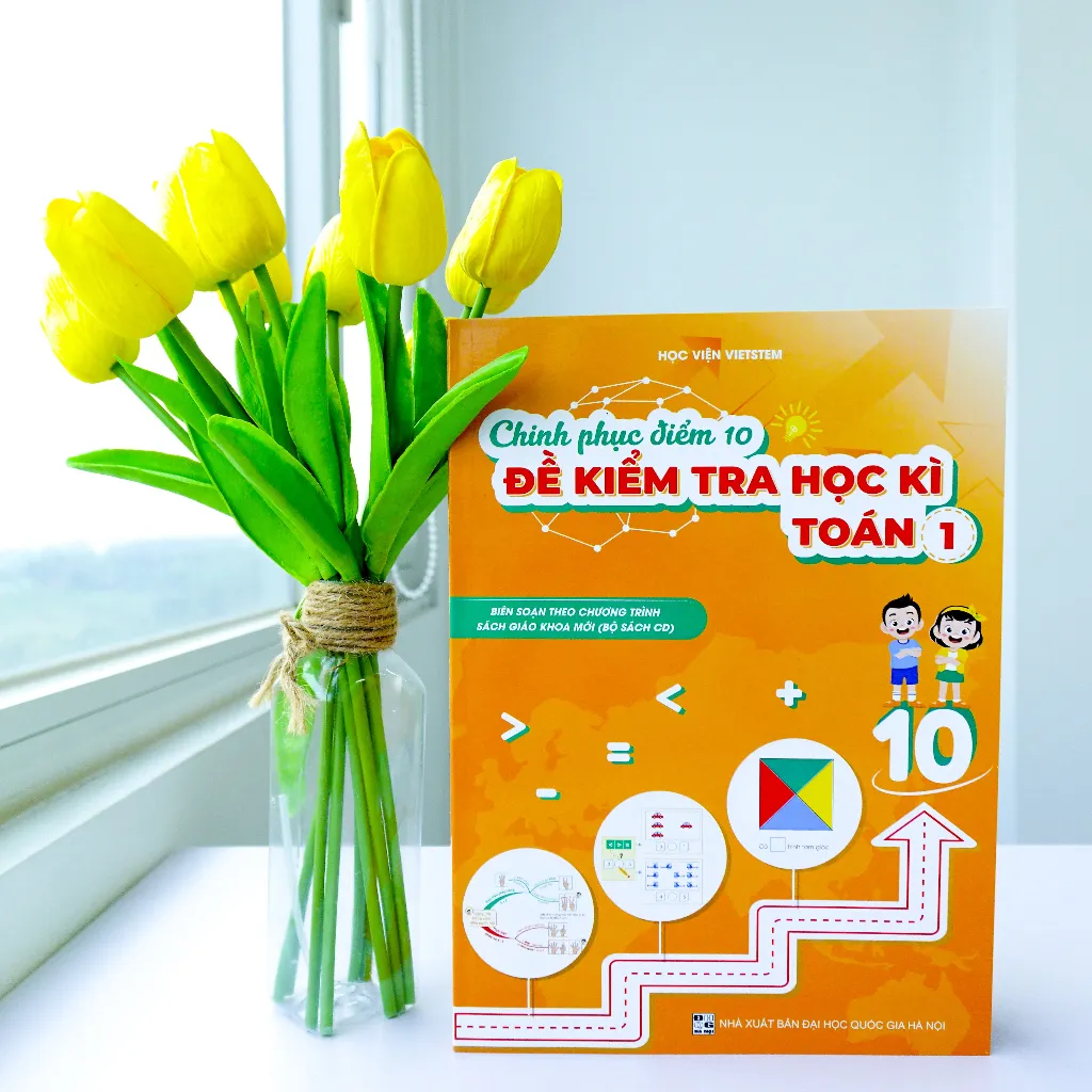 Ảnh Chinh phục điểm 10 đề kiểm tra học kì Toán 1 (CD) 1