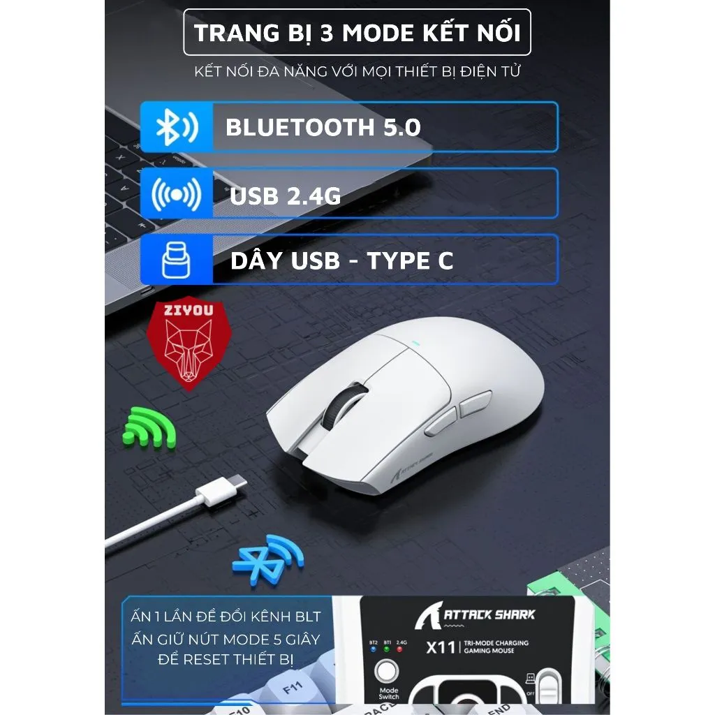Ảnh Chuột Không Dây Bluetooth Chuyên Gaming Ziyou Attack Shark X11 Chip Khủng PAW3311 Pollingrate 1Khz 4