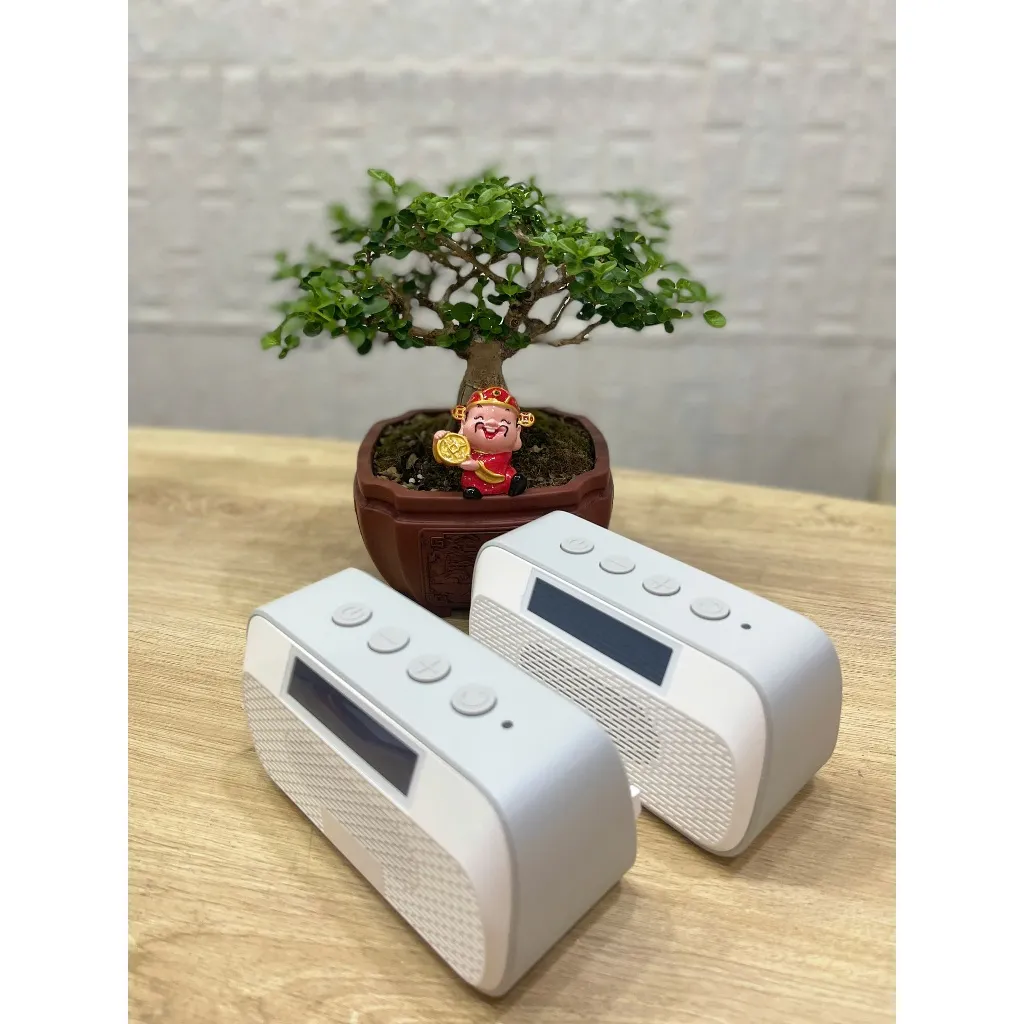 Ảnh Combo: 2 Loa Thần Tài 4G/Wifi - đọc thông báo chuyển khoản, báo nhận tiền, đọc biến động số dư. Tiền về tài khoản chính 4