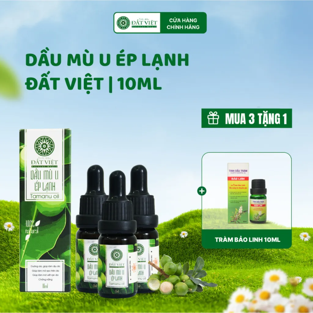 Ảnh Combo 3 chai dầu mù u ép lạnh nguyên chất Đất Việt dung tích 10ml và 30ml - An toàn cho bé sơ sinh 1