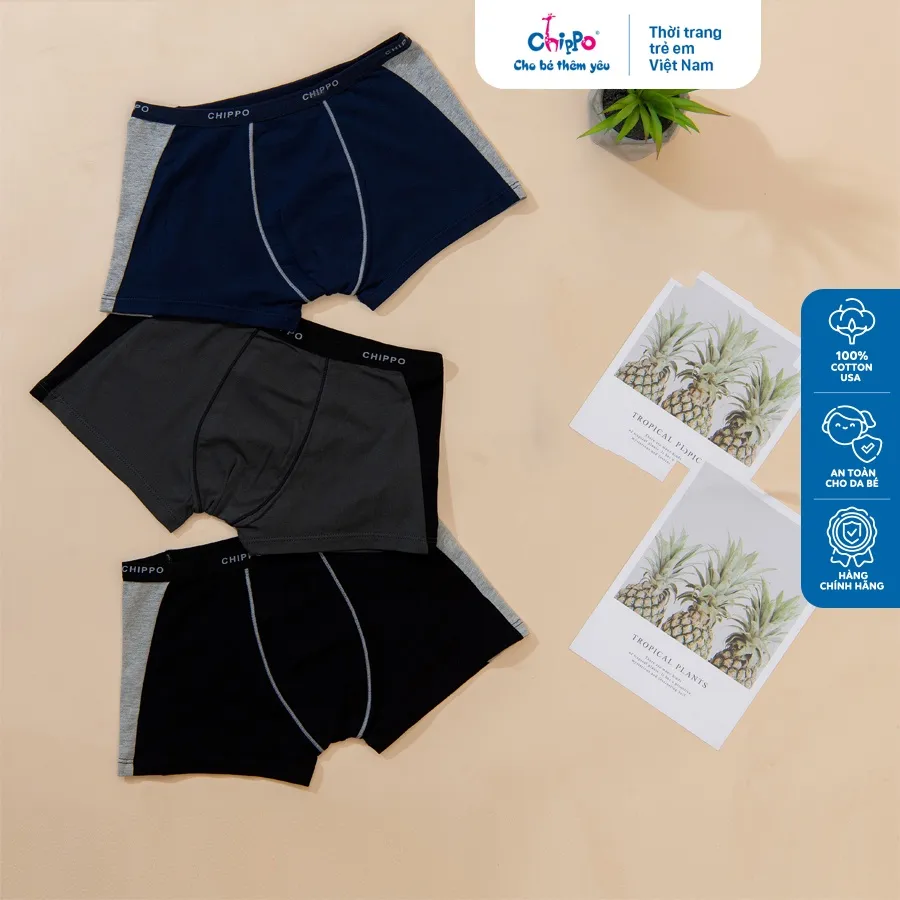 Ảnh Combo 3 chiếc Quần boxer bé trai Chippo quần lót bé trai từ 5 đến 16 tuổi (30 đến 60kg) chất vải cotton cao cấp 3