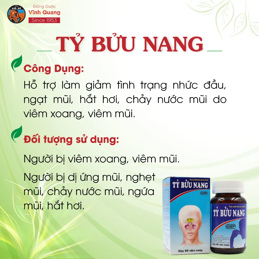 Ảnh Combo 3 Hộp 60 viên Tỷ Bửu Nang VĨNH QUANG - Viêm xoang, Viêm mũi dị ứng, Nghẹt mũi, Chảy nước mũi 3