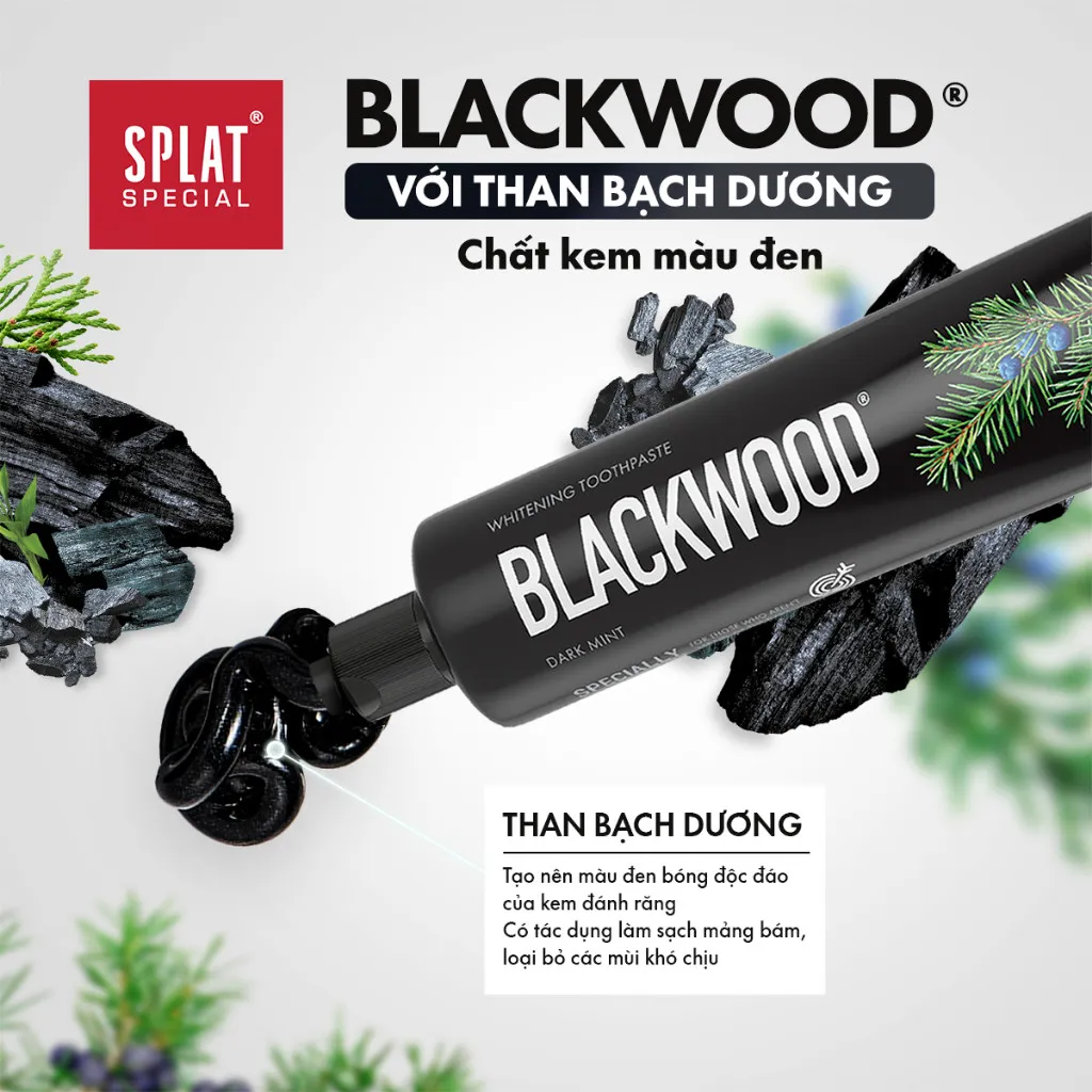 Ảnh Combo 3 Kem Đánh Răng Than Hoạt Tính SPLAT Blackwood Làm Trắng Răng, Thơm Miệng 75ml 3