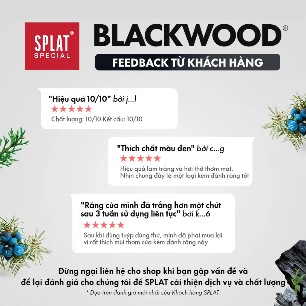 Ảnh Combo 3 Kem Đánh Răng Than Hoạt Tính SPLAT Blackwood Làm Trắng Răng, Thơm Miệng 75ml 4
