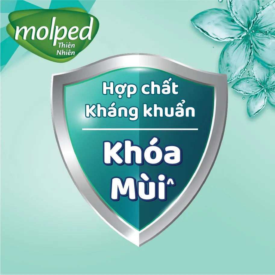 Ảnh Combo 4 Gói Băng vệ sinh Molped thiên nhiên Kháng Khuẩn Siêu mỏng có cánh 23cm (GÓI 8 MIẾNG) 3