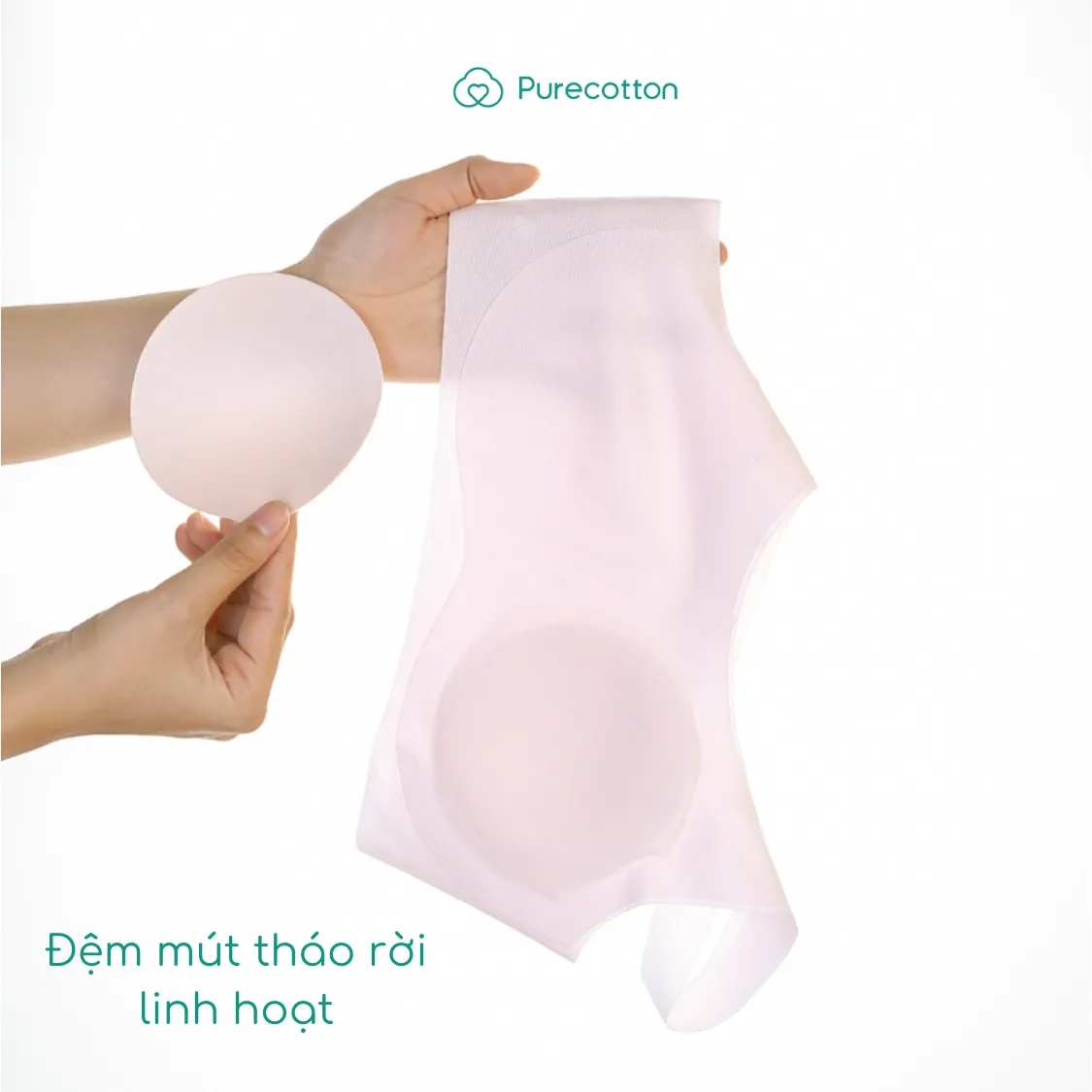 Ảnh Combo 5 áo lá học sinh không viền Purecotton chất liệu cotton cao cấp PC087 2