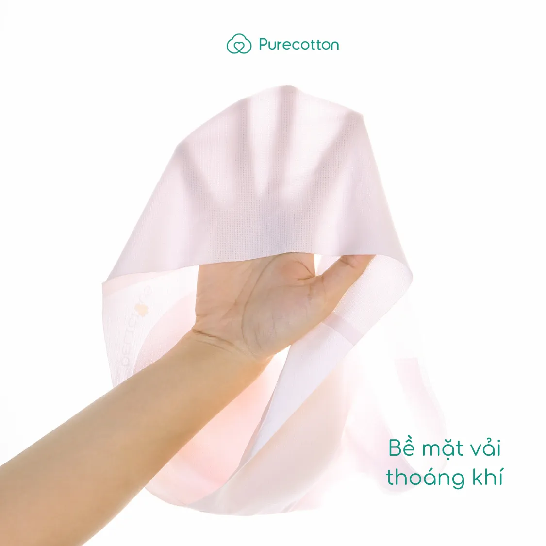 Ảnh Combo 5 áo lá học sinh không viền Purecotton chất liệu cotton cao cấp PC087 4
