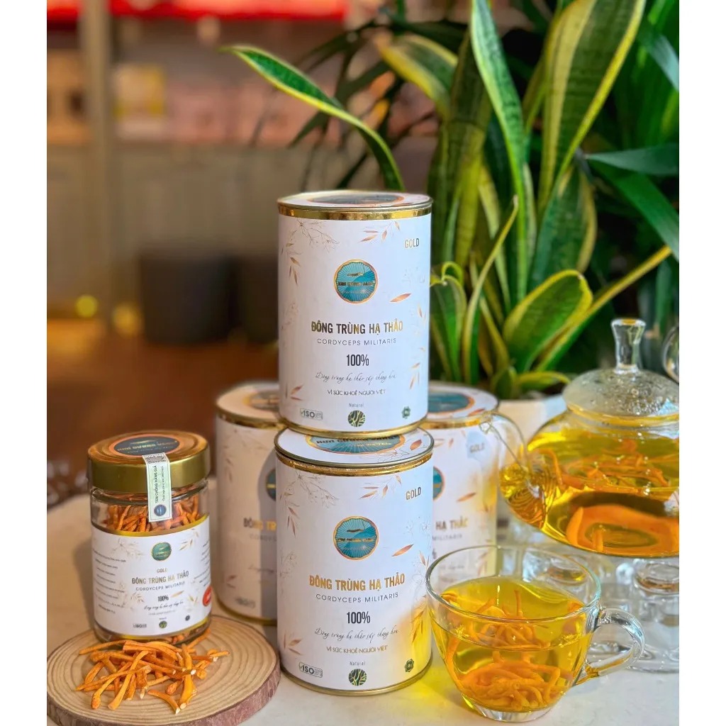 Ảnh Combo 5 Hộp Đông Trùng Hạ Thảo GOLD Kim Cương Vàng Tăng Đề Kháng Bảo Vệ Sức Khỏe combo 5 hộp/50gram 4