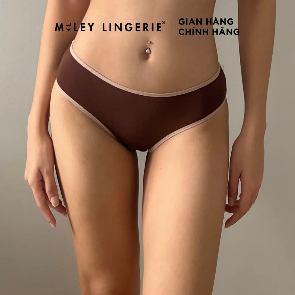 Ảnh Combo 5 Quần Lót Cotton Co Dãn 4 Chiều Flexi Miley Lingerie BCS40 ( Giao màu ngẫu nhiên) 4