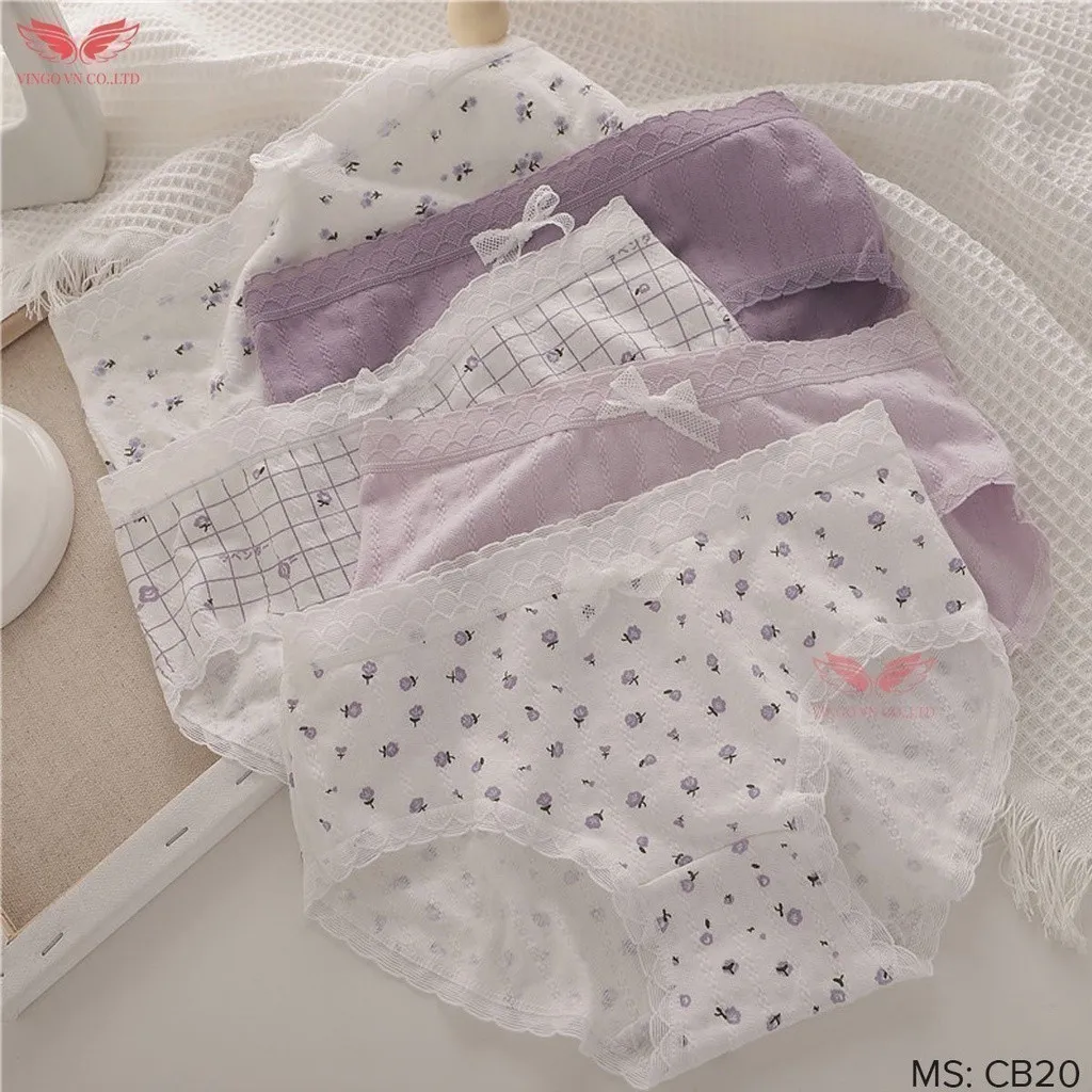 Ảnh Combo 5 Quần Lót Cotton Nữ Cạp Cao VINGO Thấm Hút Kháng Khuẩn Phối Viền Ren Lưới Mềm CB20 VNGO 3