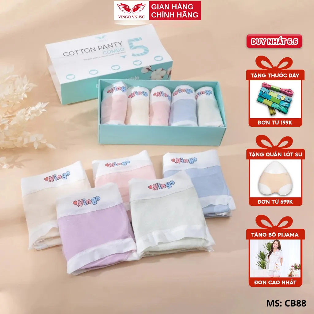Ảnh Combo 5 quần lót cotton trơn kháng khuẩn VINGO CB88 VNGO 1