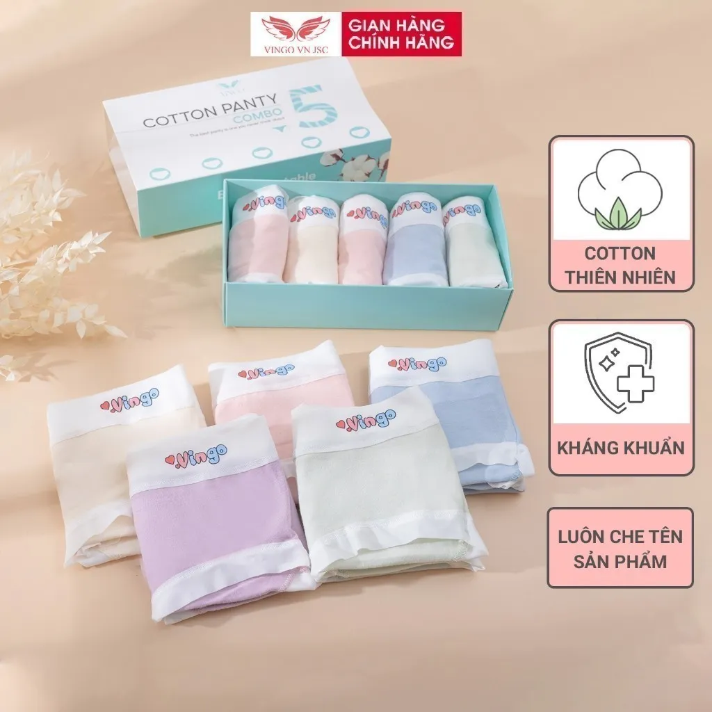 Ảnh Combo 5 quần lót cotton trơn kháng khuẩn VINGO CB88 VNGO 2