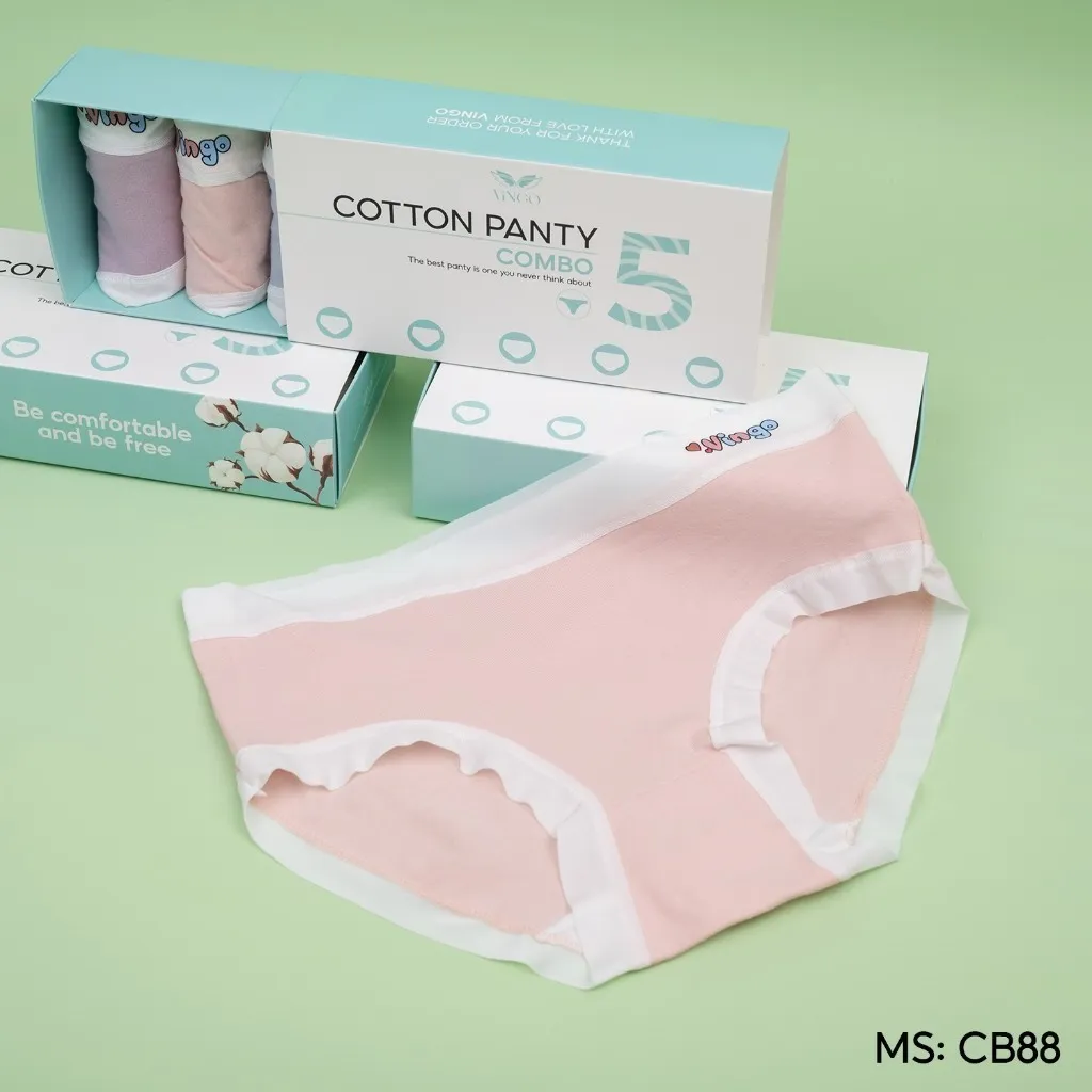 Ảnh Combo 5 quần lót cotton trơn kháng khuẩn VINGO CB88 VNGO 4