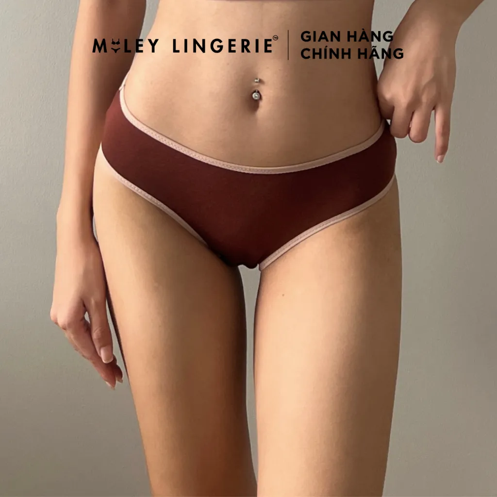 Ảnh Combo 6 Quần Lót Flexi Cotton Lụa Co Dãn 4 Chiều Comfort Miley Lingerie BCS40 ( Màu ngẫu nhiên) 4