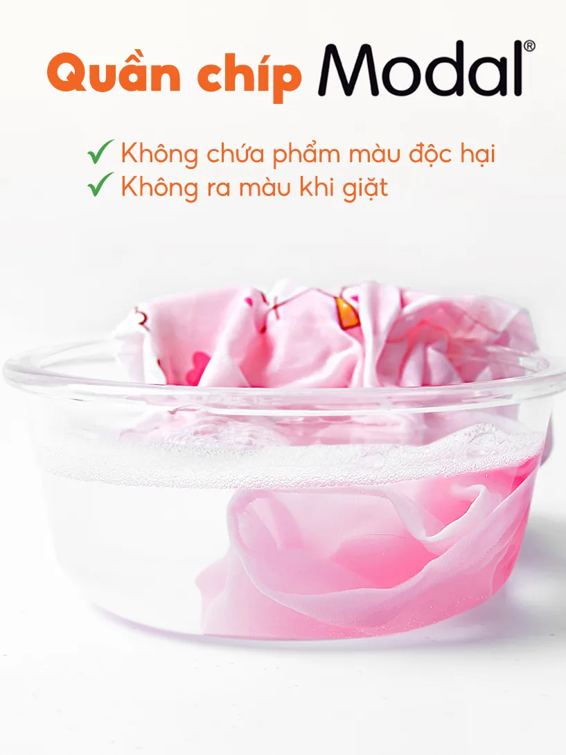 Ảnh Combo 6 quần lót Rabity kháng khuẩn, an toàn 5049.01 1