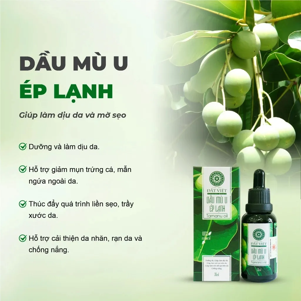 Ảnh Combo dầu mù u ép lạnh nguyên chất Tinh dầu Đất Việt dung tích 10ml và 30ml 4