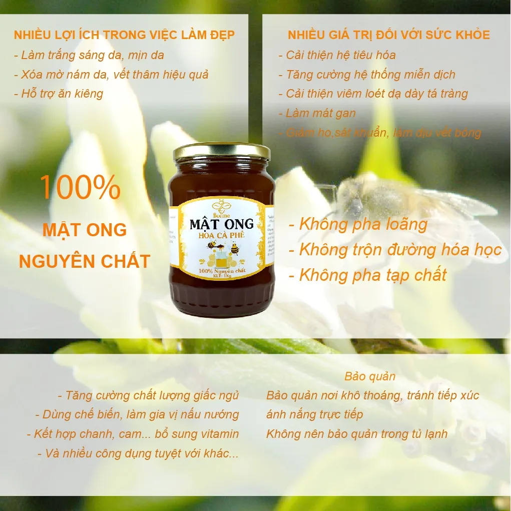 Ảnh Combo Mật ong hoa cà phê 1kg +Trà gừng 500g - Nguyên chất Beemo 4