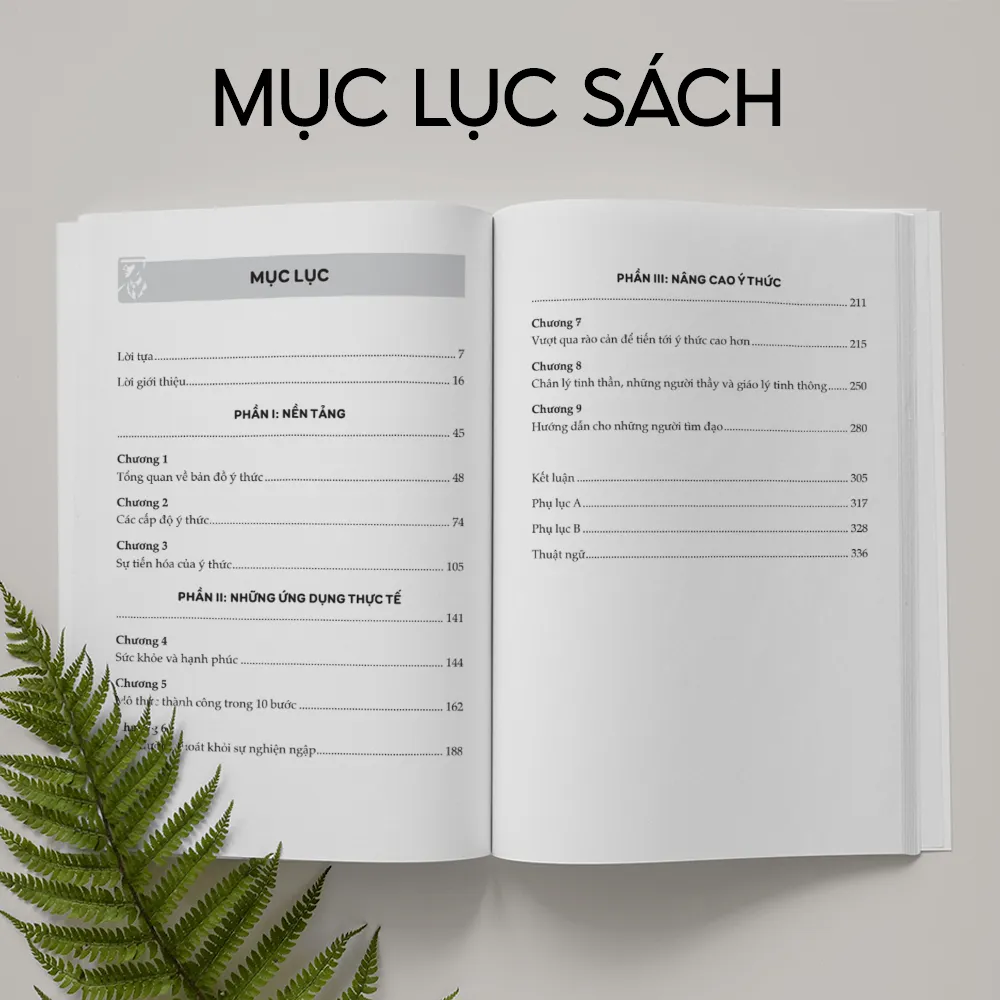 Ảnh Combo Sách Tần Số: Bản Đồ Về Ý Thức Và Nâng Cao Tần Số Rung Động Mỗi Ngày - Bizbooks 3