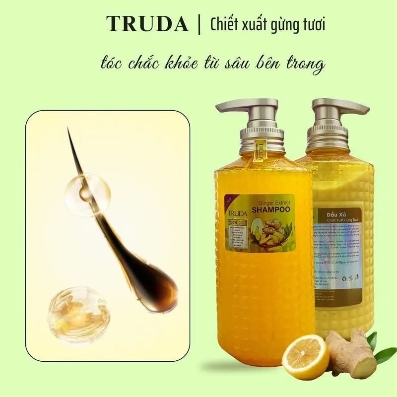 Ảnh Dầu Gội - Dầu Xả Hữu Cơ Gừng Tươi Giúp Mượt Tóc, Giảm Rụng Tóc và Gàu Ngứa cho Nam Nữ 1