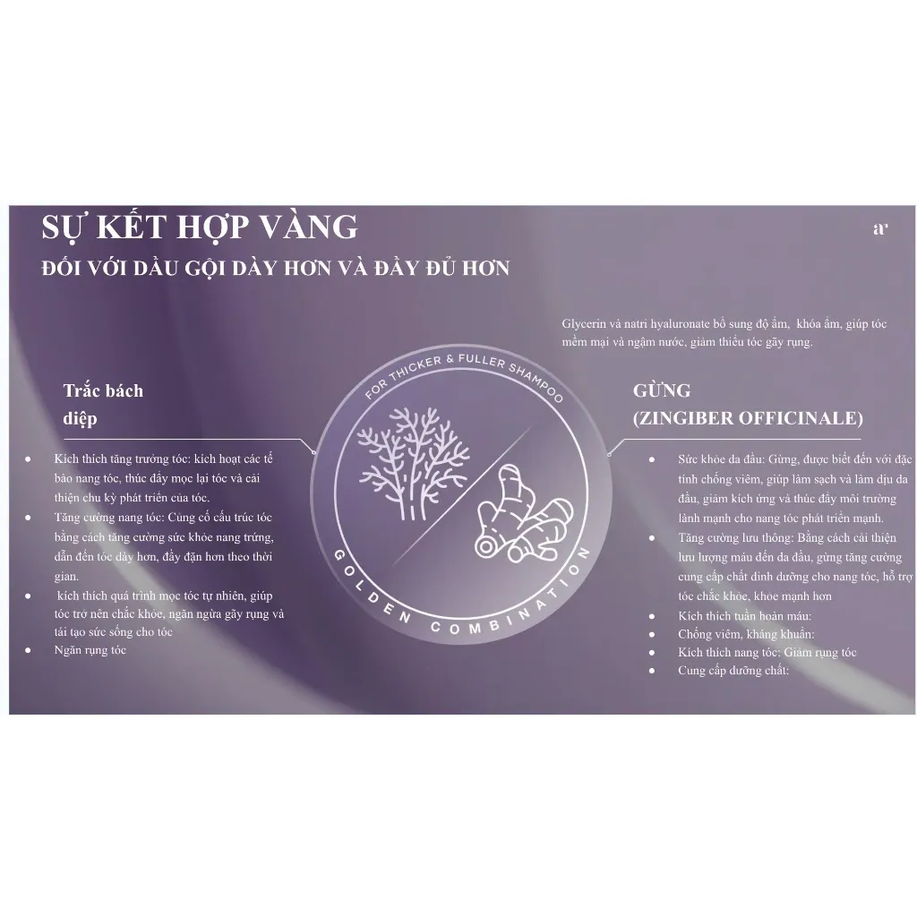 Ảnh Dầu Gội Mọc Tóc Nhanh ARRACARE THICKER & FULLER  Không Sulfate, Ngừa Rụng, Kích Mọc Tóc Tự Nhiên 200ml 2